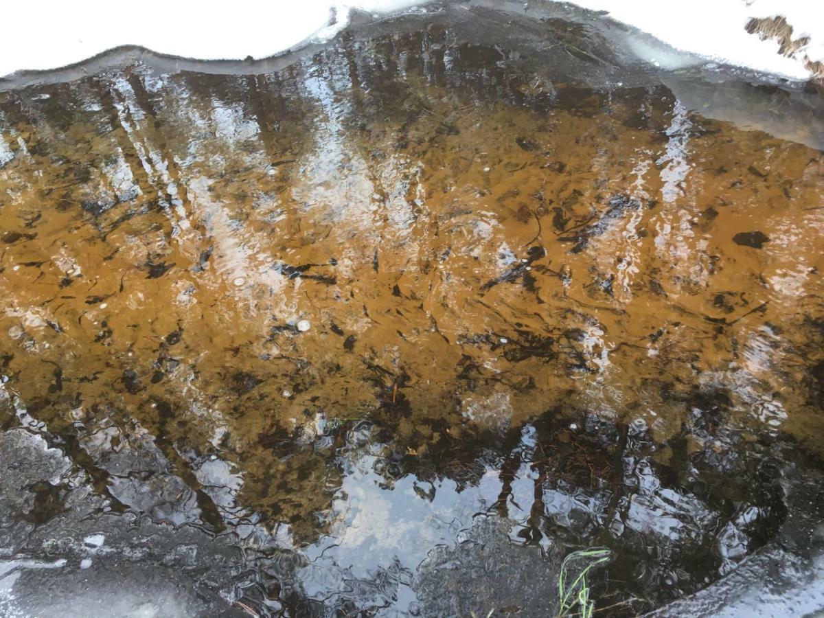 Vila Migla Paseksciai Экстерьер фото